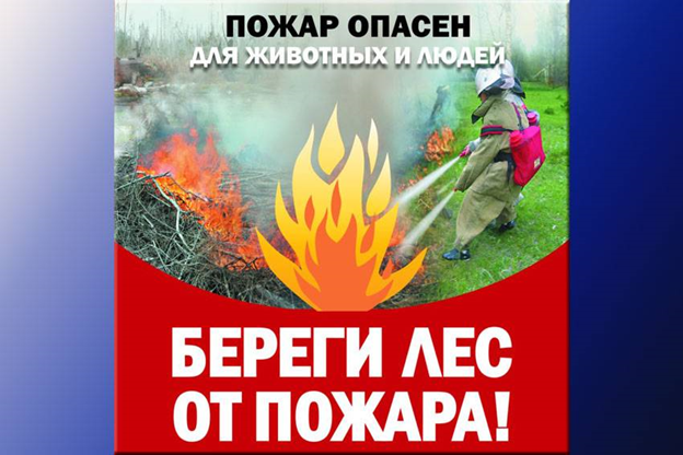 Доклад: Предупреждение возникновения и борьба с пожарами на местности